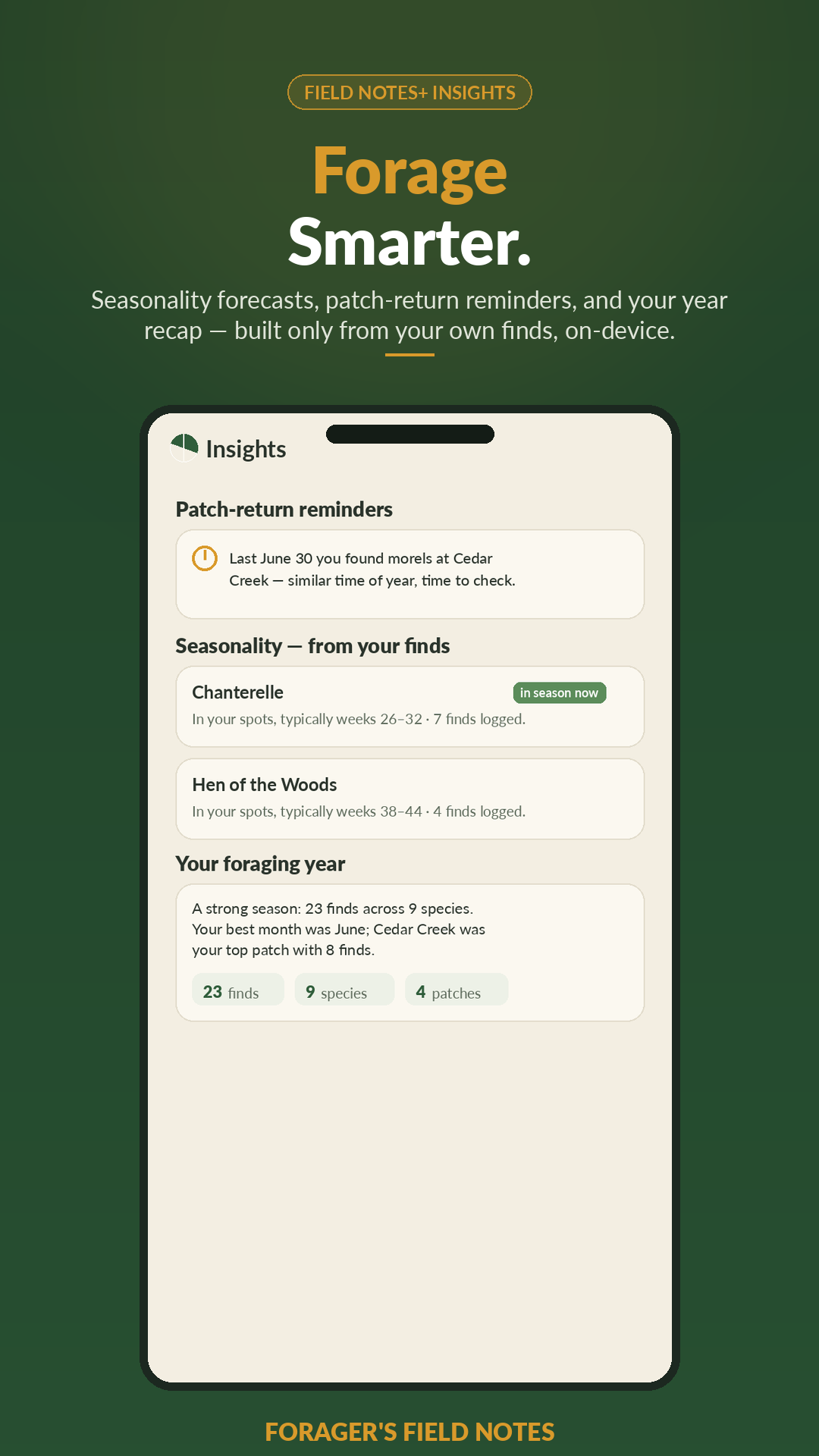 Forager's Field Notes insights screen showing a deterministic seasonality forecast and patch-return reminder built from the user's own logged finds