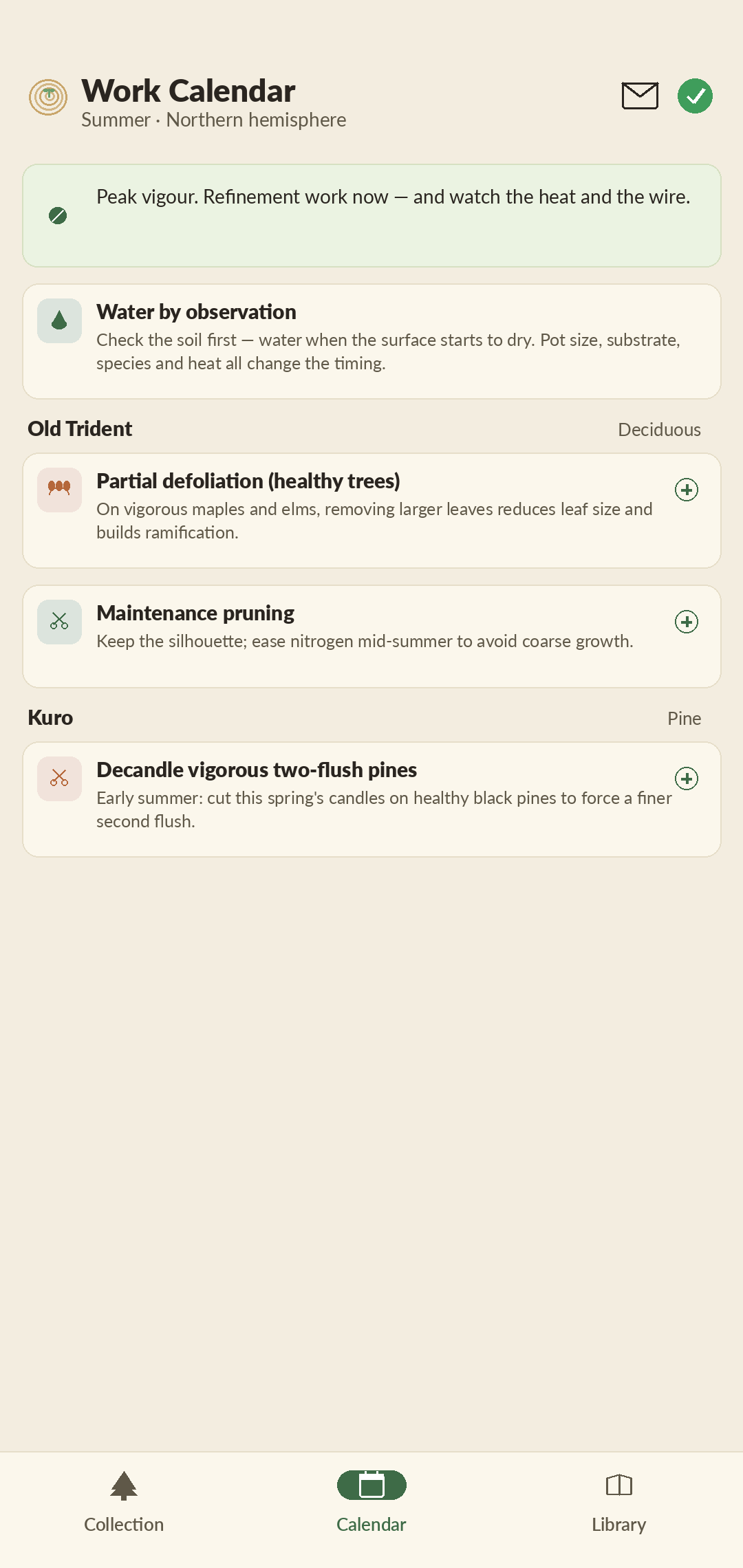 Mokume work calendar screen showing species-aware seasonal tasks such as defoliation, repotting, and candle-pinching keyed to the month and hemisphere